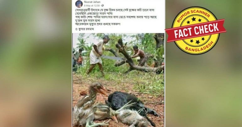 ছবিটি সোহরাওয়ার্দী উদ্যানের গাছ কাটার নয়