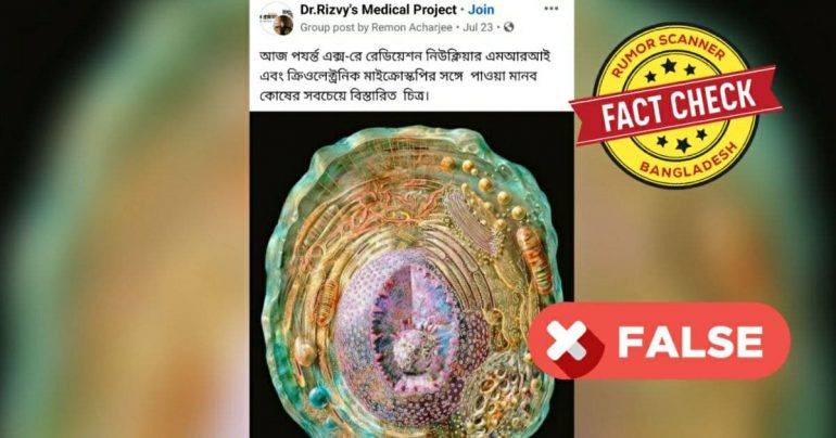 Fact Check: এটি প্রাণী কোষের ডিজিটাল চিত্র, অত্যাধুনিক যন্ত্রে তোলা নয়