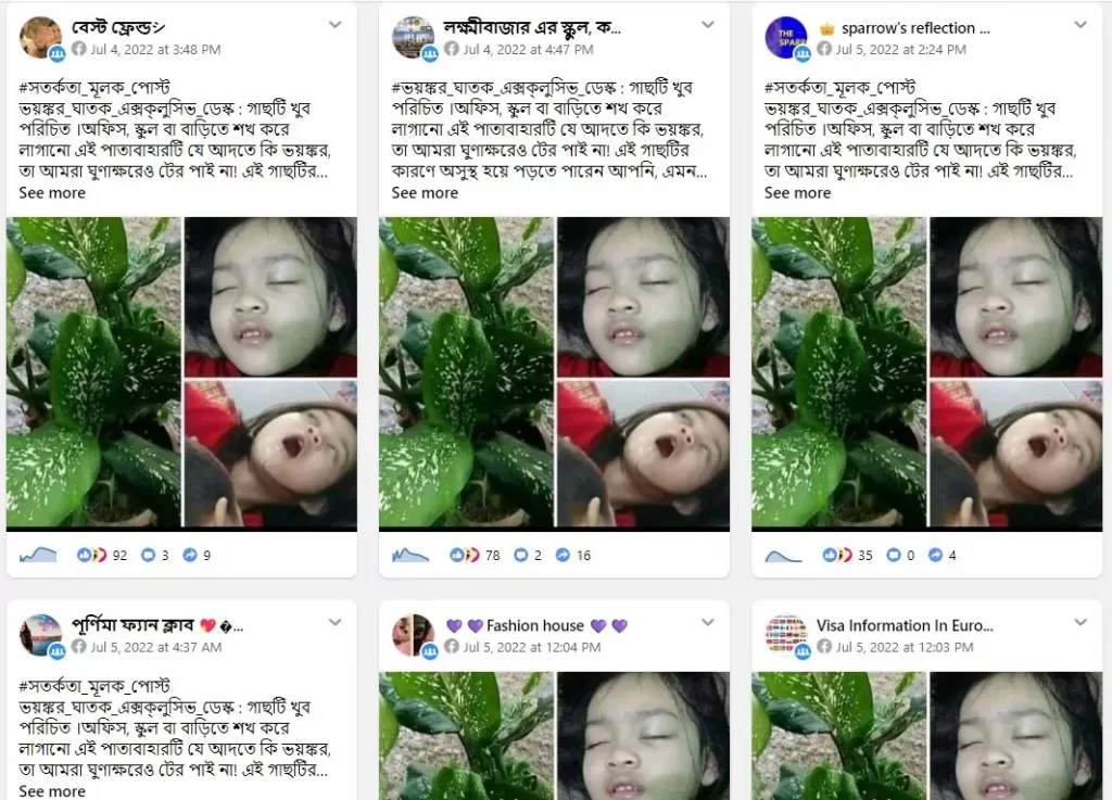 পাতাবাহার