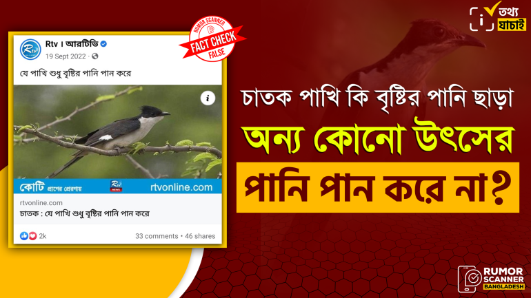 চাতক পাখি শুধু বৃষ্টির পানি পান করে শীর্ষক দাবিটি মিথ্যা