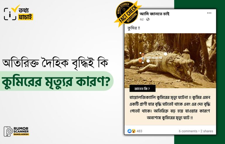 বায়োলজিক্যালি কুমিরের মৃত্যু ঘটেনা দাবিতে কুমিরের জীবনচক্র নিয়ে বিভ্রান্তিকর তথ্য প্রচার