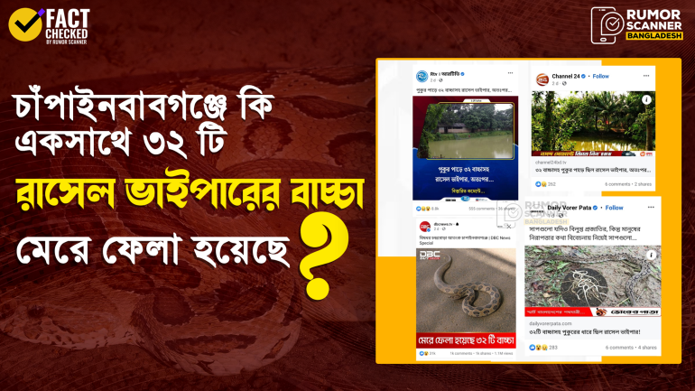 চাঁপাইনবাবগঞ্জে পুকুর পাড়ে ৩২ টি বাচ্চাসহ রাসেল ভাইপার সাপ মেরে ফেলার সংবাদটি বিভ্রান্তিকর