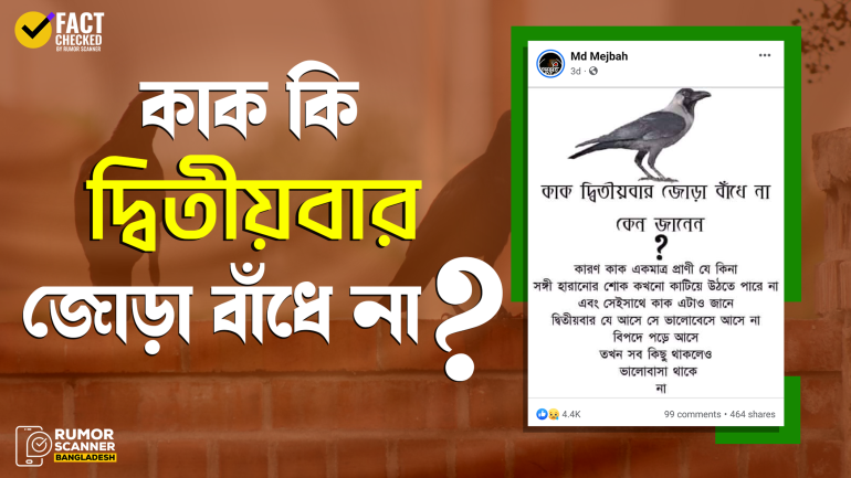 কাক দ্বিতীয়বার জোড়া বাঁধে না শীর্ষক দাবিটির সত্যতা কতটুকু?