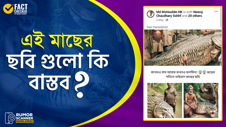 ছবিগুলো কোনো বাস্তব মাছের নয়
