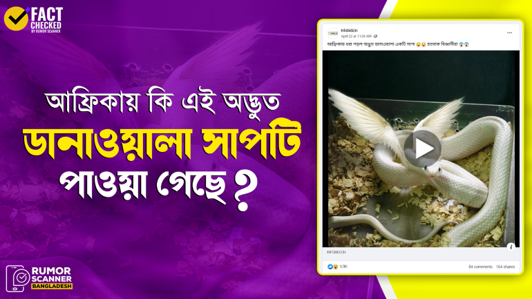 ডিজিটাল প্রযুক্তিতে তৈরি সাপের ছবিকে বাস্তব দাবিতে প্রচার