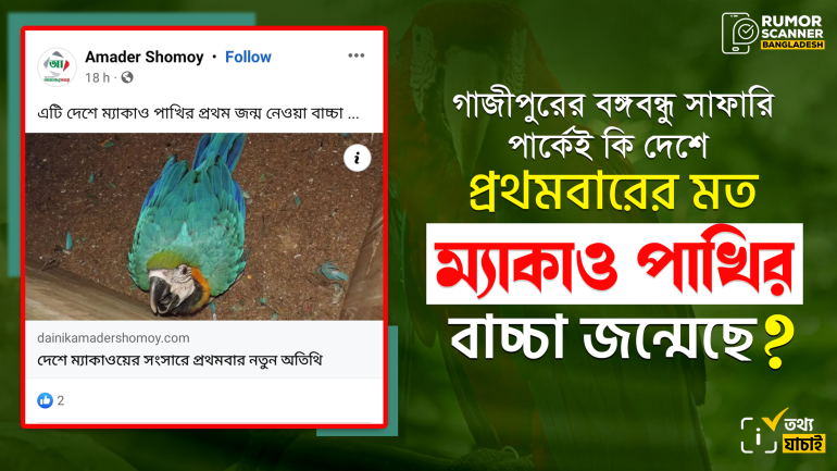 বঙ্গবন্ধু সাফারি পার্কেই প্রথম নয়, এর আগেও দেশে ম্যাকাও পাখির বাচ্চা জন্মেছে