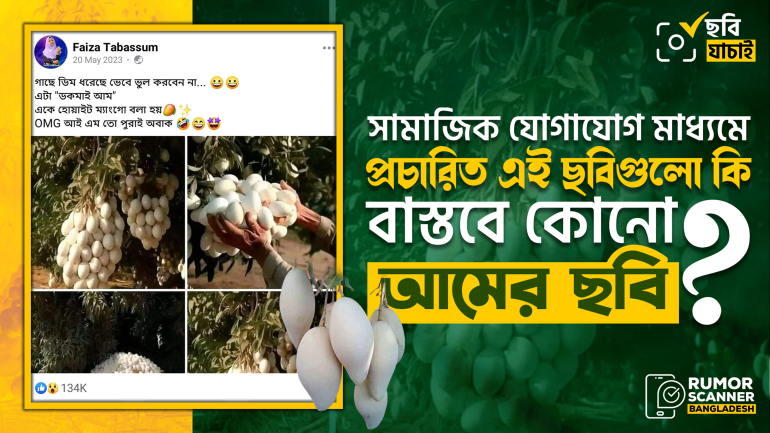 বাস্তব আম কিংবা ডিম নয়, ছবিগুলো এআই দ্বারা তৈরি