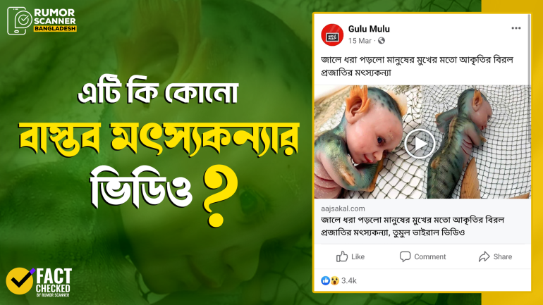 পুতুলের ছবিকে বাস্তব মৎস্যকন্যা দাবিতে প্রচার 