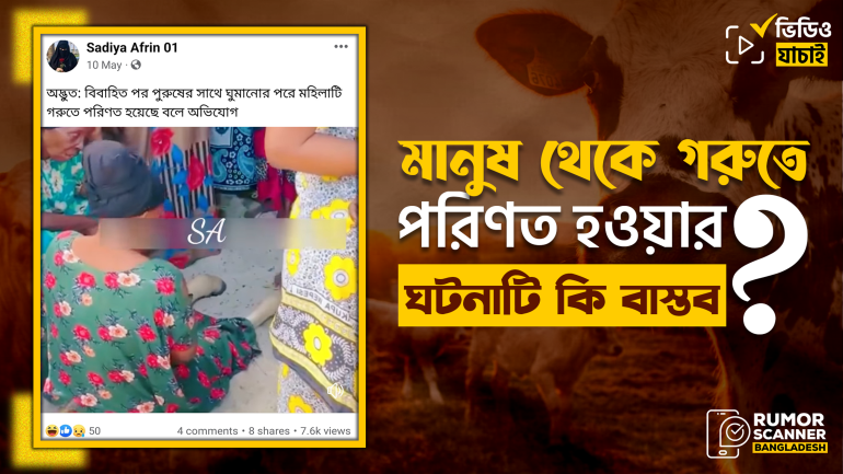 ব্যাভিচারের জন্য এক মহিলা গরুতে পরিণত হওয়ার অভিযোগটি মিথ্যা