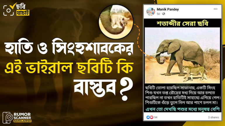 হাতির ক্লান্ত সিংহশাবককে শুঁড়ে তুলে নেওয়ার দাবিতে ভাইরাল এই ছবিটি এডিটেড