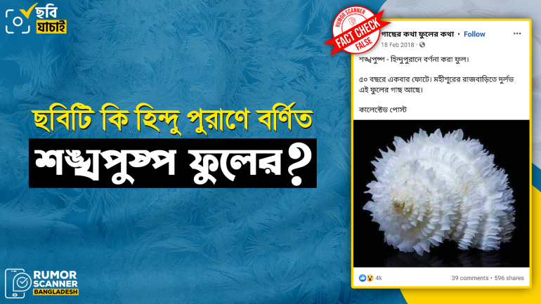 সামুদ্রিক শামুকের ছবিকে শঙ্খপুষ্প ফুল দাবিতে প্রচার