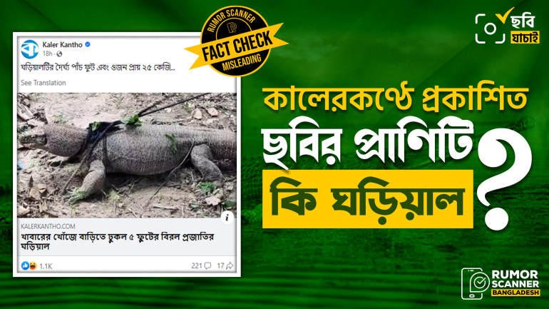 গুইসাপের ছবিকে ঘড়িয়ালের ছবি দাবি করে মূলধারার একাধিক সংবাদমাধ্যমে বিভ্রান্তিকর সংবাদ প্রকাশ 