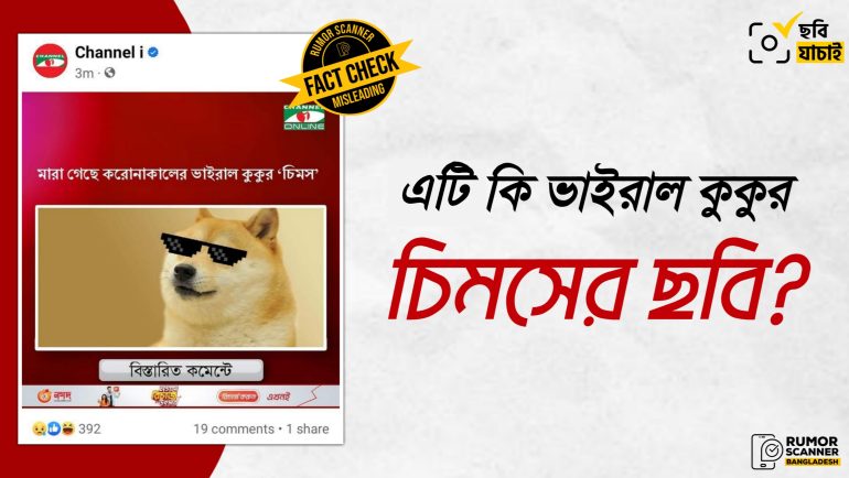 কাবুসো নামে জীবিত ভাইরাল কুকুরের ছবিকে আরেক ভাইরাল কুকুর চিমস দাবিতে প্রচার