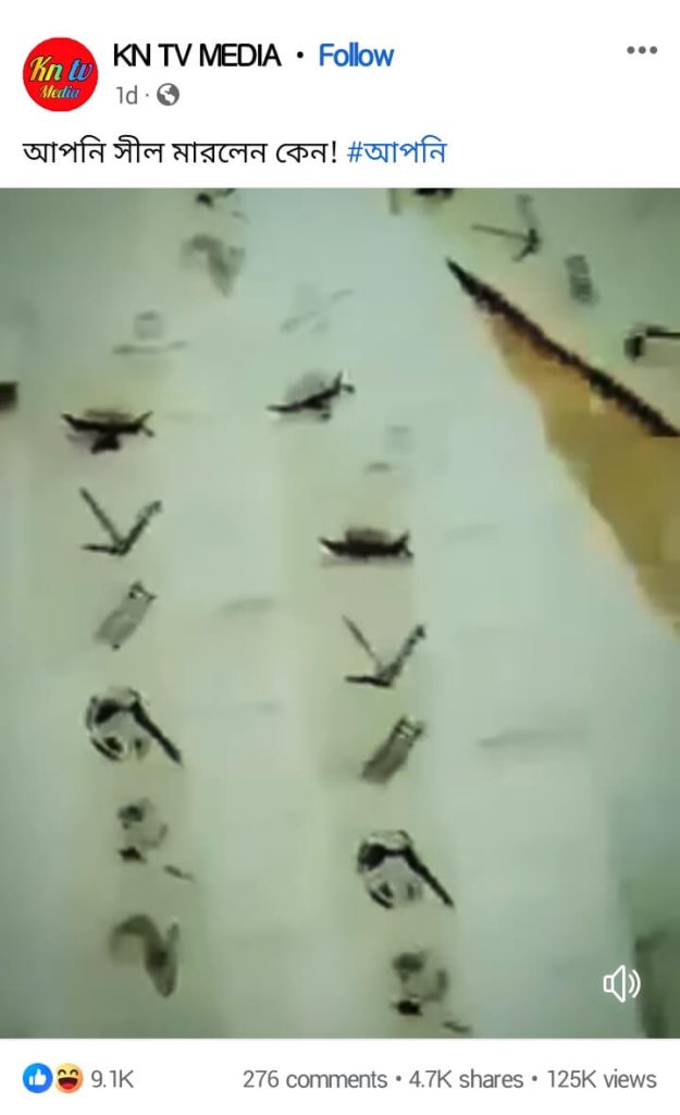 নৌকা প্রতীকে সিল