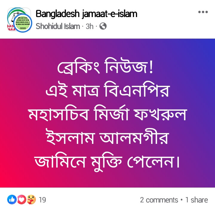 জামিনে মুক্তি
