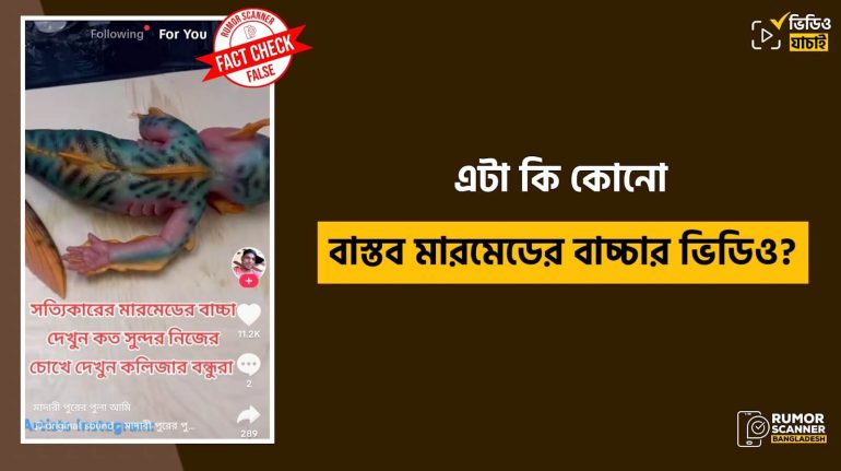মৎস্যকন্যা দাবিতে পুতুলের ভিডিও প্রচার