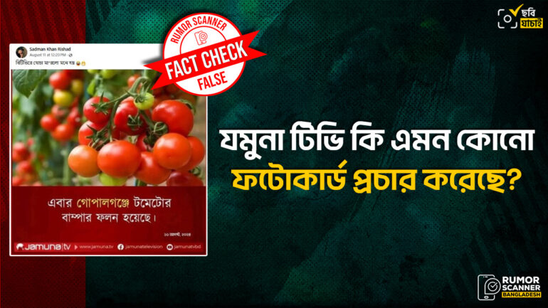 গোপালগঞ্জে টমেটোর বাম্পার ফলন দাবিতে যমুনা টিভি কোনো ফটোকার্ড প্রচার করেনি 