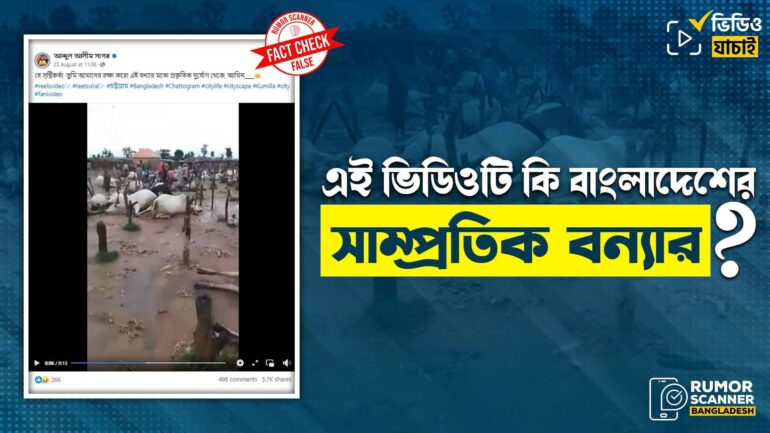 সাম্প্রতিক বন্যায় মৃত গরুর দৃশ্য দাবিতে নাইজেরিয়ায় ভিন্ন ঘটনার ভিডিও প্রচার